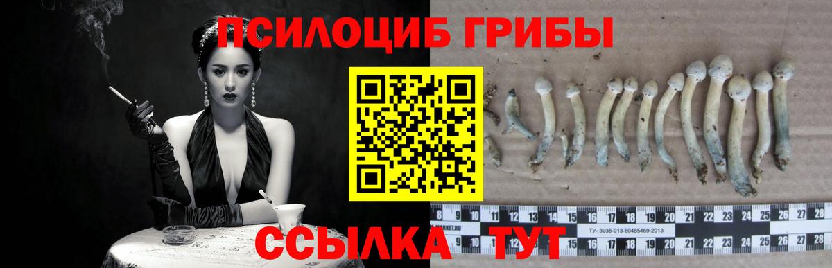 Псилоцибиновые грибы MAGIC MUSHROOMS  купить наркотики сайты  Липецк  Вход с VPN 